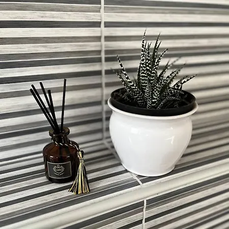 House In The Village *